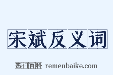 宋斌反义词是什么意思的图片